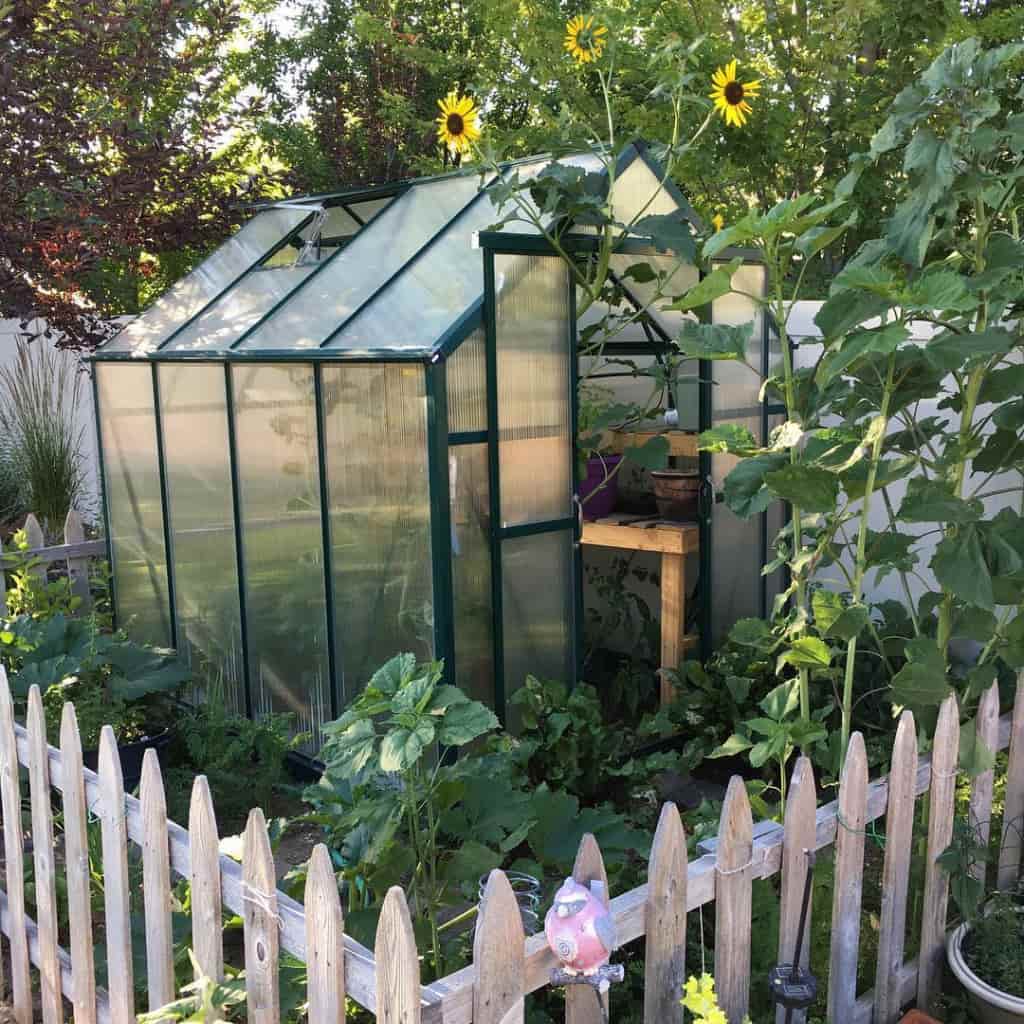 Grandio Element Greenhouse - Thumbnail 2