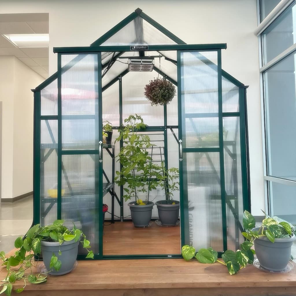 Grandio | Element 6x4 Greenhouse | ELEMENT-64
