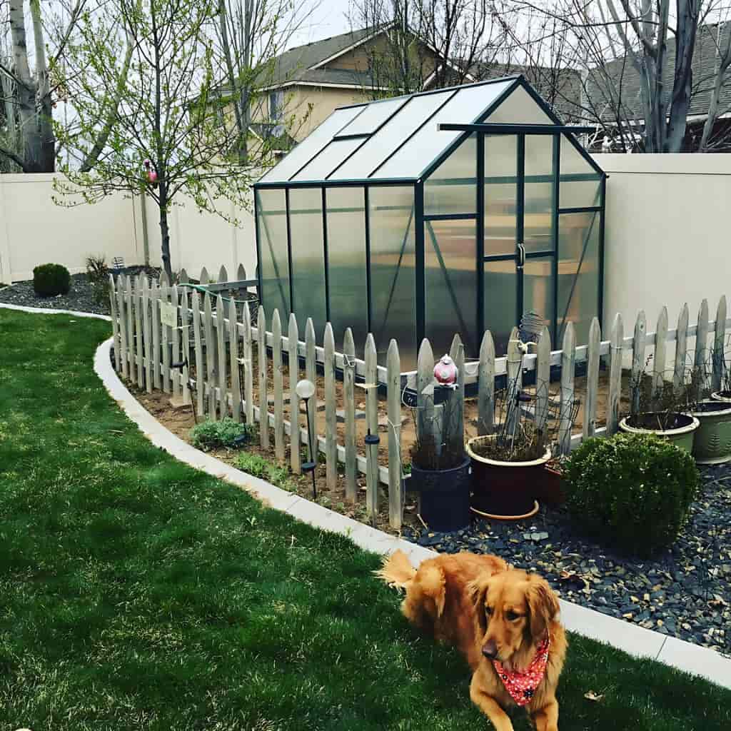 Grandio | Element 6x8 Greenhouse | ELEMENT-68