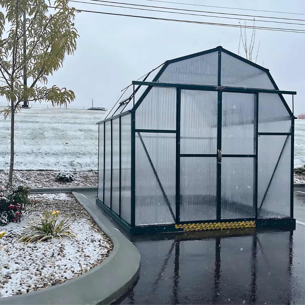 Grandio | Elite 8x8 Greenhouse | ELITE-88