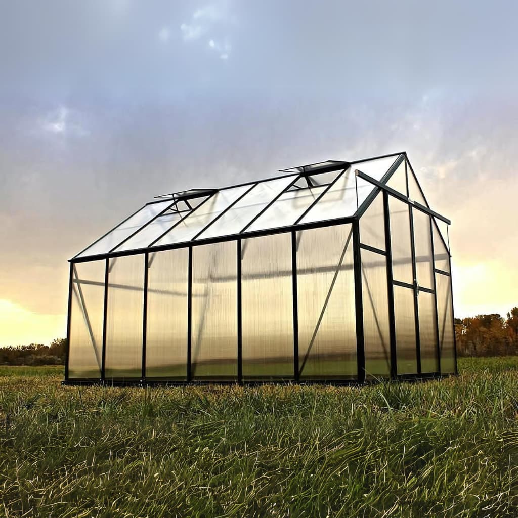 Grandio | Ascent 8x12 Greenhouse | ASCENT-812