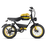 HappyRun | G100 48V/38Ah 2000W Dual Battery Electric Bike | G100