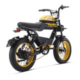 HappyRun | G100 48V/38Ah 2000W Dual Battery Electric Bike | G100