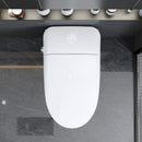 Luxury Smart Toilet With Built-In Auto Open And Close Bidet Seat, Foot Sensor, LED Display And Night Light (SAK31256)