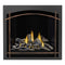 Napoleon Altitude X Direct Vent 36" Natural Gas Fireplace [AX36NTE-1] (SAK61243)