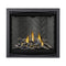 Napoleon Altitude X Direct Vent 42" Propane Fireplace [AX42PTE-1] (SAK72948)