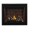 Napoleon Altitude X Direct Vent 42" Propane Fireplace [AX42PTE-1] (SAK72948)
