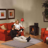 Napoleon Arlington 20 Cast Iron Millivolt Ignition Natural Gas Stove, 19" [GDS20NSB] (SAK93714)