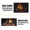 Napoleon Arlington 20 Cast Iron Direct Vent Metallic Black Natural Gas Stove, 19" [GDS20NE] (SAK18258)