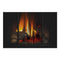 Napoleon Arlington 20 Cast Iron Direct Vent Metallic Black Natural Gas Stove, 19" [GDS20NE] (SAK18258)