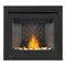 Napoleon Ascent 36 Direct Vent Millivolt Ignition Natural Gas Fireplace, 35" [B36NTR-1] (SAK85316)