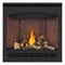 Napoleon Ascent 36 Direct Vent Millivolt Ignition Natural Gas Fireplace, 35" [B36NTR-1] (SAK85316)