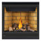 Napoleon Ascent 36 Direct Vent Millivolt Ignition Natural Gas Fireplace, 35" [B36NTR-1] (SAK85316)