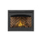 Napoleon Ascent 42 Direct Vent Millivolt Ignition Propane Gas Fireplace [B42N/PTR] (SAK91456)