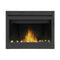 Napoleon Ascent 42 Direct Vent Millivolt Ignition Propane Gas Fireplace [B42N/PTR] (SAK91456)