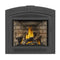 Napoleon Ascent 70 Direct Vent Electronic Ignition Propane Gas Fireplace, 35" [GX70PTE/NTE-1] (SAK14829)