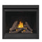 Napoleon Ascent Deep 42 Direct Vent Electronic Ignition Natural Gas [D42NTRE] (SAK42391)