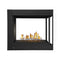 Napoleon Ascent Multi-View 3 Sided Glass Ember Bed Direct Vent Natural Gas Fireplace, 43" [BHD4PGN] (SAK62815)