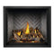 Napoleon Elevation X 42 Direct Vent Electronic Ignition Propane Gas Fireplace, 44" [EX42N/PTEL] (SAK83652)