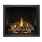 Napoleon Elevation X 42 Direct Vent Electronic Ignition Propane Gas Fireplace, 44" [EX42N/PTEL] (SAK83652)