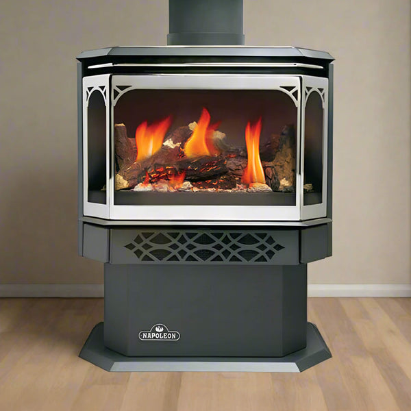 Napoleon Haliburton 50 Direct Vent Millivolt Ignition Compact Natural Gas Stove, 22" [GDS28-1NSB] (SAK81523)