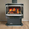 Napoleon Haliburton 50 Direct Vent Millivolt Ignition Compact Natural Gas Stove, 22" [GDS28-1NSB] (SAK81523)