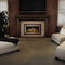 Napoleon Inspiration ZC Direct Vent Millivolt Ignition Natural Gas Fireplace Insert, 36" [GDIZC-NSB] (SAK58347)