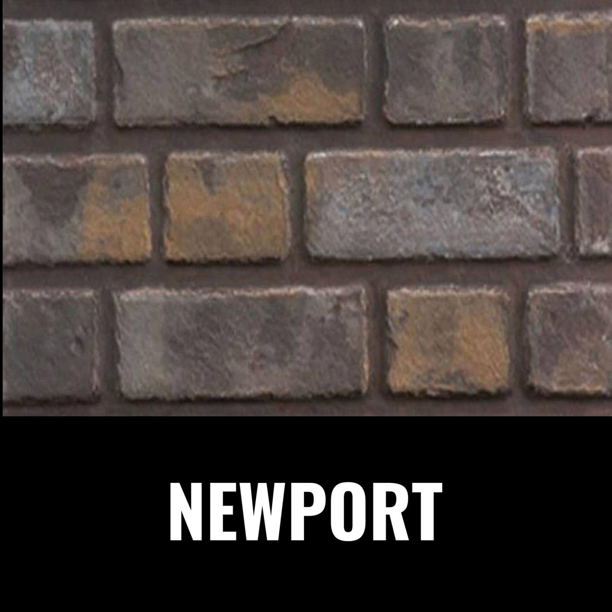 Napoleon Oakville 3 Glass Direct Vent Electronic Ignition Natural Gas Fireplace Insert, 28" [GDIG3N] (SAK29675)