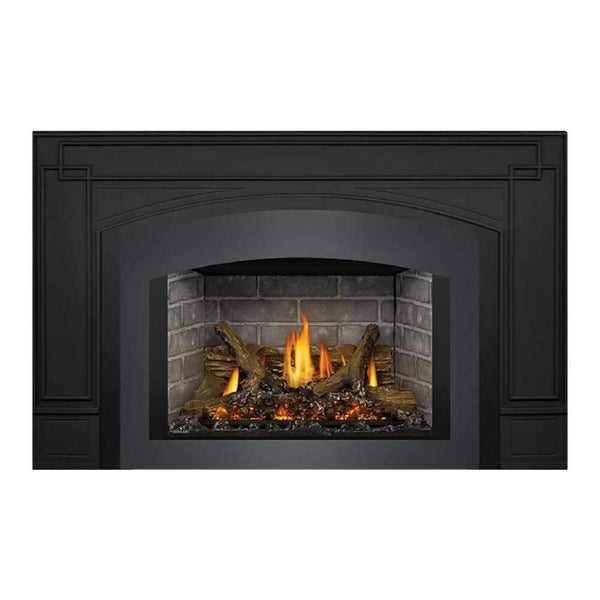 Napoleon Oakville X3/X4 Direct Vent Electronic Ignition Natural Gas Fireplace Insert (GDIX3N/4N-1) (SAK21347)