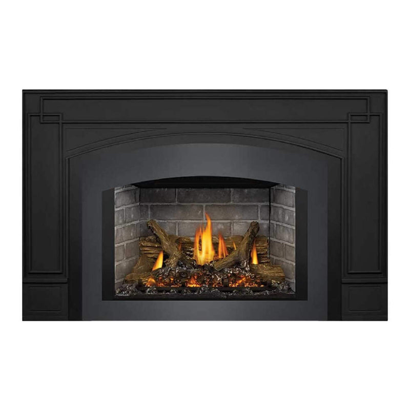 Napoleon Oakville X3/X4 Direct Vent Electronic Ignition Natural Gas Fireplace Insert (GDIX3N/4N-1) (SAK21347)