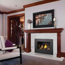 Napoleon Oakville X3/X4 Direct Vent Electronic Ignition Natural Gas Fireplace Insert (GDIX3N/4N-1) (SAK21347)