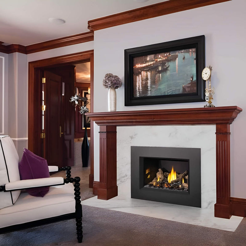 Napoleon Oakville X3/X4 Direct Vent Electronic Ignition Natural Gas Fireplace Insert (GDIX3N/4N-1) (SAK21347)