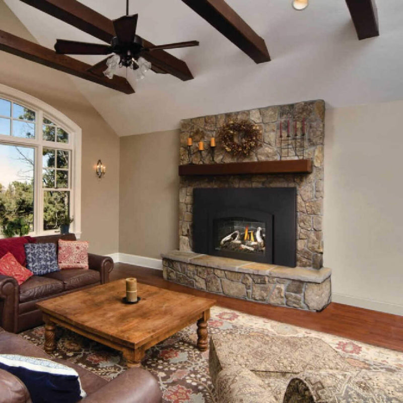 Napoleon Oakville X3/X4 Direct Vent Electronic Ignition Natural Gas Fireplace Insert (GDIX3N/4N-1) (SAK21347)