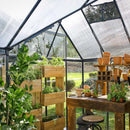 [10x12FT] Premium T-Shaped Cathedral Outdoor Walk-In Greenhouse And Solarium (91364285)