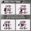 Major Fitness Lever Arms