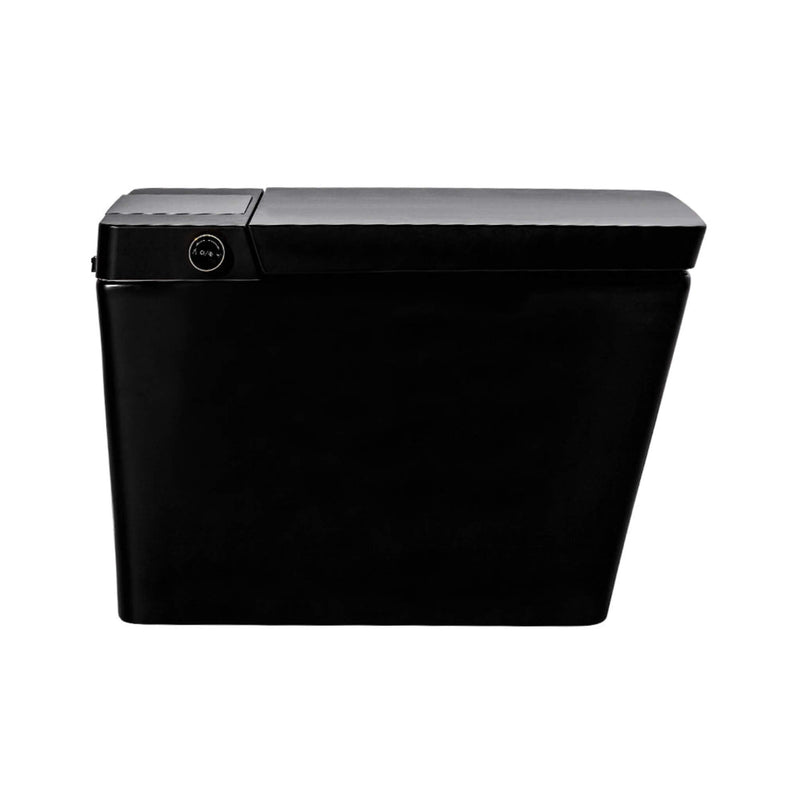 Premium Multifunctional Single-Piece Automatic Smart Toilet With Remote Control, Matte Black (96471352)