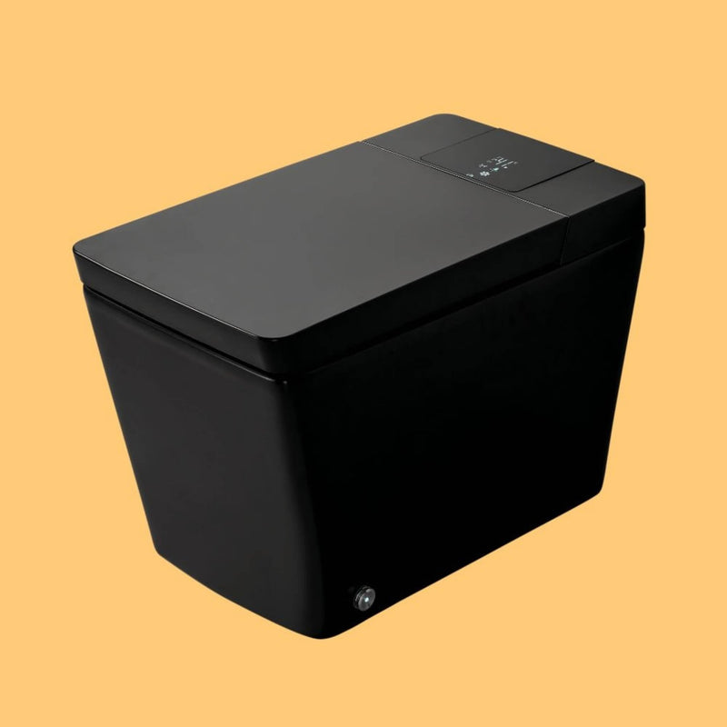 Premium Multifunctional Single-Piece Automatic Smart Toilet With Remote Control, Matte Black (96471352)