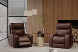 Ingrid Leather Heat & Massage & Ventilation Power Lift Recliner Chair