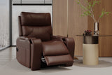 Ingrid Leather Heat & Massage & Ventilation Power Lift Recliner Chair