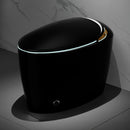 Smart One-Piece Toilet With Bidet, Foot Sensor, LED Display And Dryer (SAK80112)