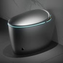 Smart One-Piece Toilet With Bidet, Foot Sensor, LED Display And Dryer (SAK80112)