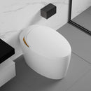 Smart One-Piece Toilet With Bidet, Foot Sensor, LED Display And Dryer (SAK80112)