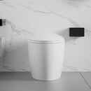 Smart One-Piece Toilet With Bidet, Foot Sensor, LED Display And Dryer (SAK80112)