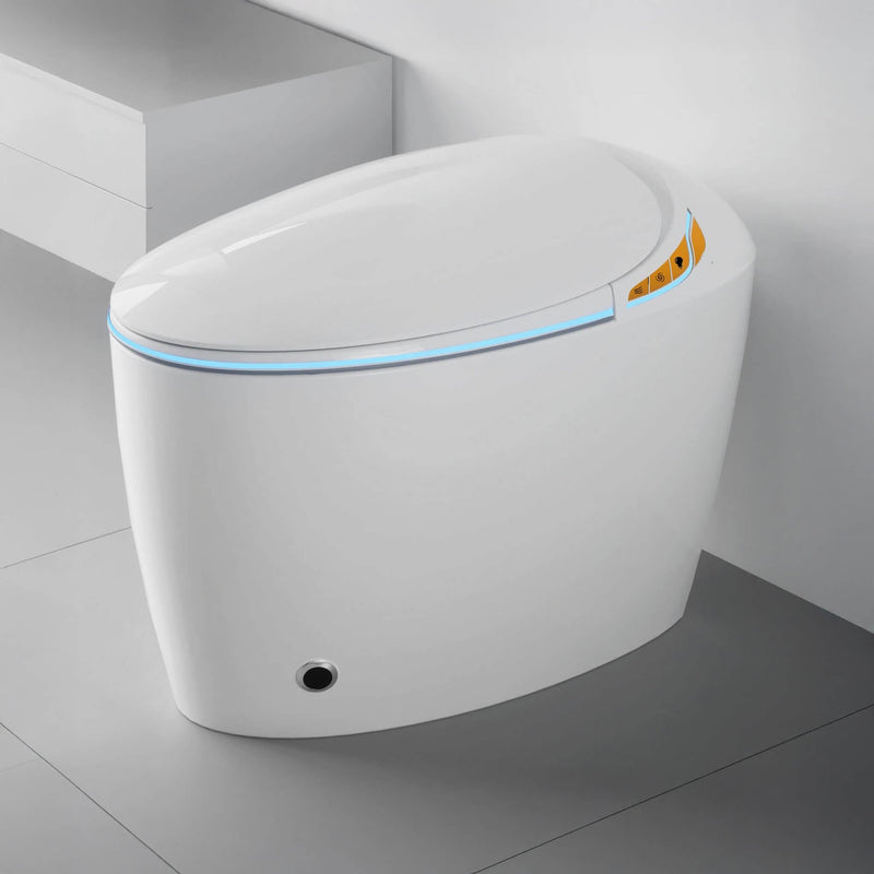 Smart One-Piece Toilet With Bidet, Foot Sensor, LED Display And Dryer (SAK80112)