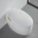 Smart One-Piece Toilet With Bidet, Foot Sensor, LED Display And Dryer (SAK80112)
