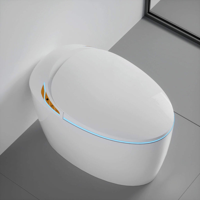 Smart One-Piece Toilet With Bidet, Foot Sensor, LED Display And Dryer (SAK80112)