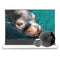 VIVIDSTORM S ALR P Motorized Tension Floor Rising Obsidian Long Throw ALR Perforated Projector screen