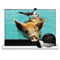 VIVIDSTORM S PRO/S PRO P Motorized Tension Floor Rising UST ALR Projector screen– Classic Version