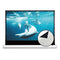 VIVIDSTORM S White Cinema Motorized Tension Floor Rising Projector screen– Classic Version
