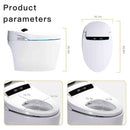 Premium Automatic Single-Piece Home Smart Toilet With Bidet, Foot Sensor And Heated Seat (SAK96152)